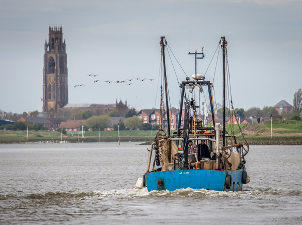 A boat ride from boston marina through the grand sluice lock, along the river haven and into the wash. Wayland And District Photographic Club Wdpc Norfolk Boat Trip On The Boston Belle Monday 23rd April