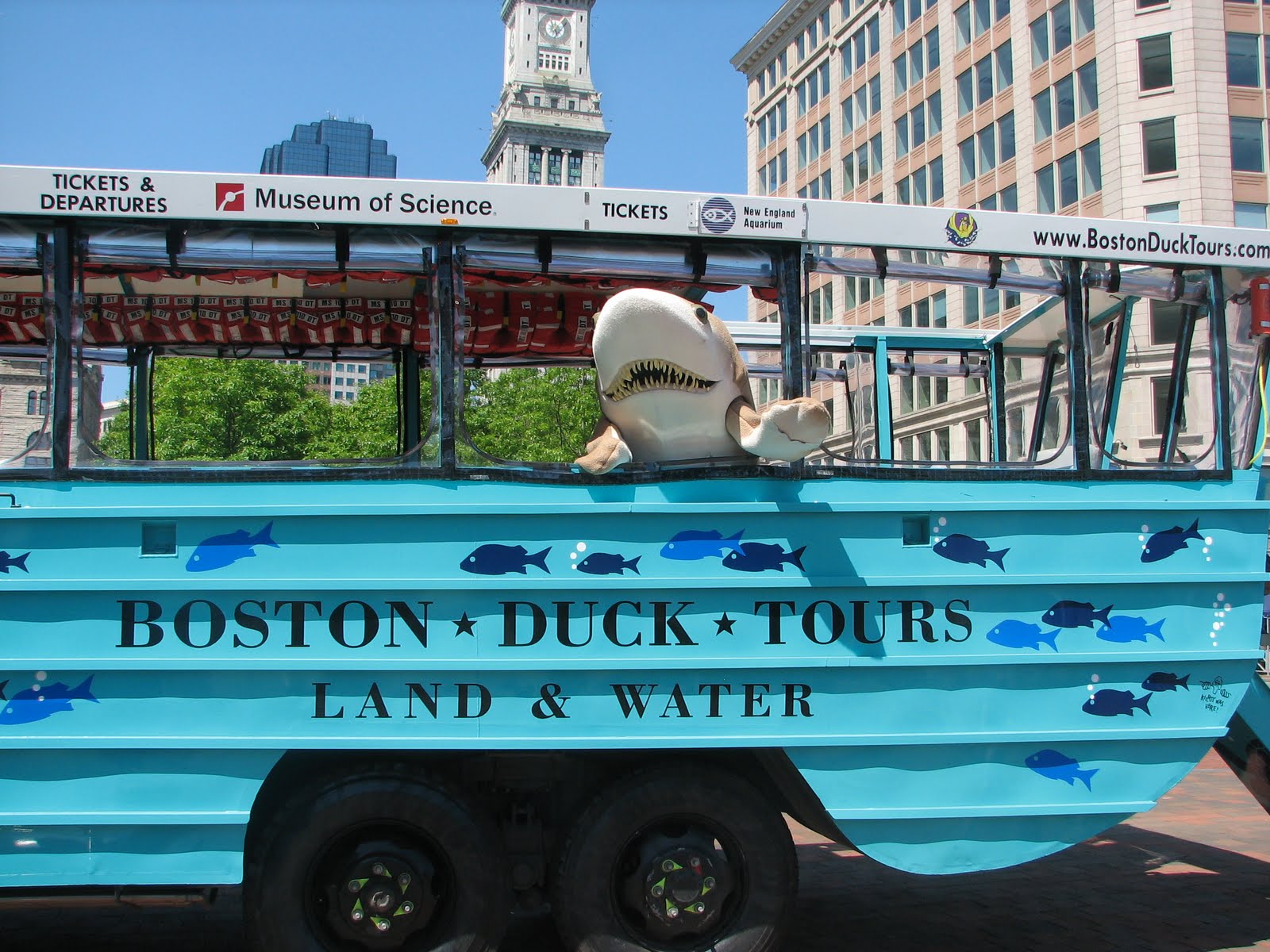 The museum of science features a revolving schedule of temporary exhibits, imax films, and planetarium shows, plus details on more than 700 interactive permanent exhibits, live presentations, and more! Aquarium News And Updates