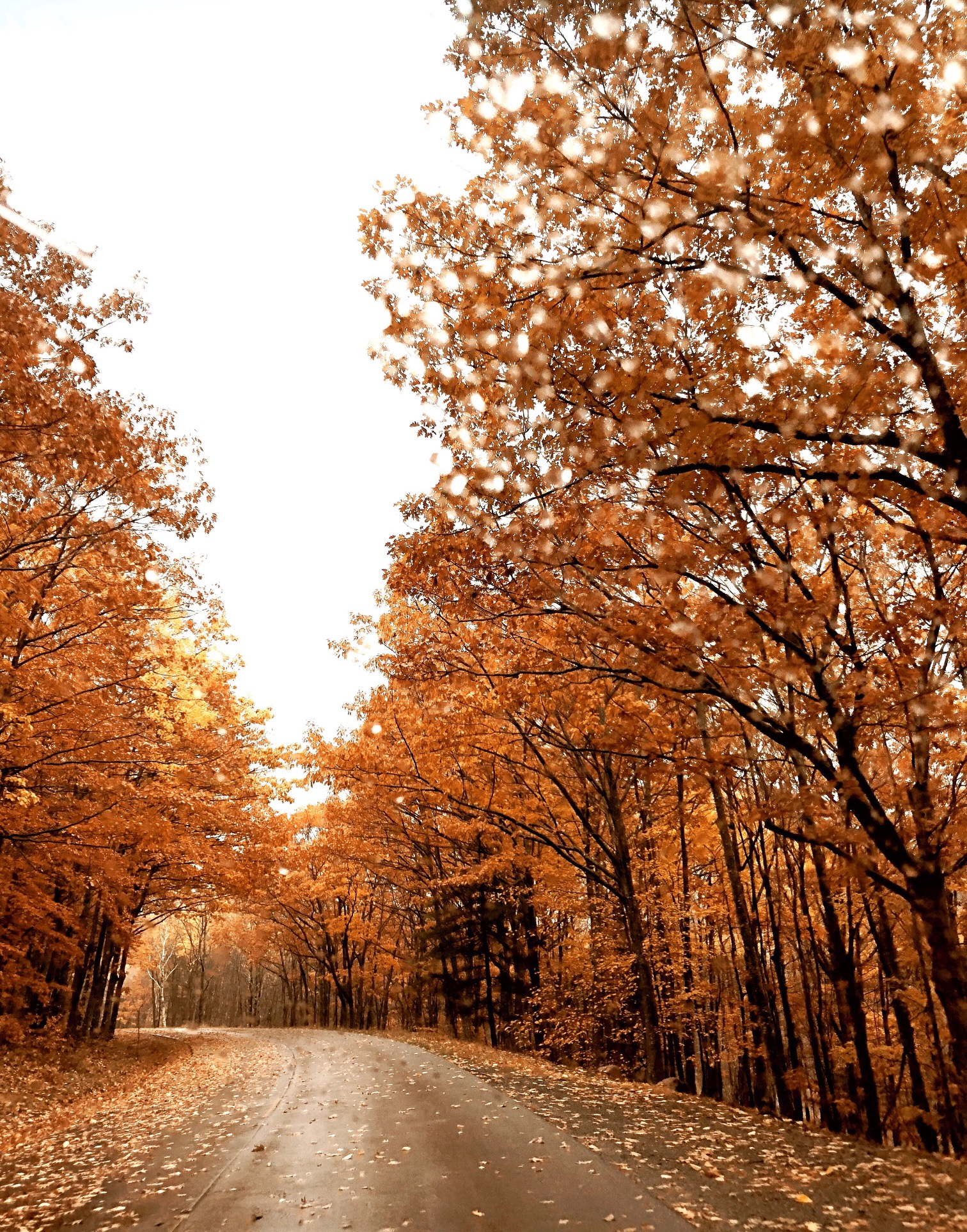 The national parks located in the united states and its territories are nothing short of impressive. Scenic Drive Traveling Maine S Coast To Boston In The Fall 7 Day Maine Itinerary Go French Yourself