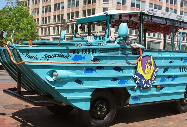 Consider these ocean, lake and river cruises. Aquarium News And Updates