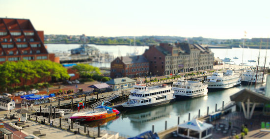 Boston Harbor Cruises Reviews&nbsp;Packages