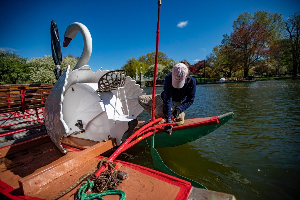 Swan Boat Tours Boston Packages