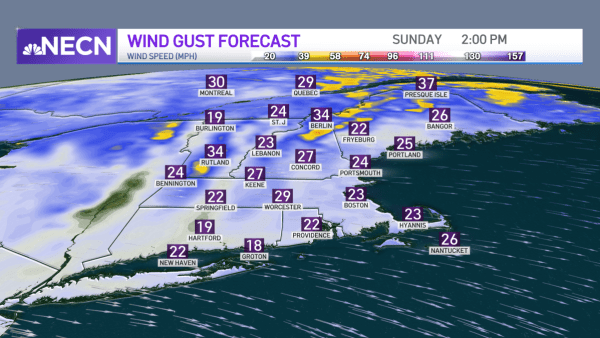 Best Boston Duck Tour Accident