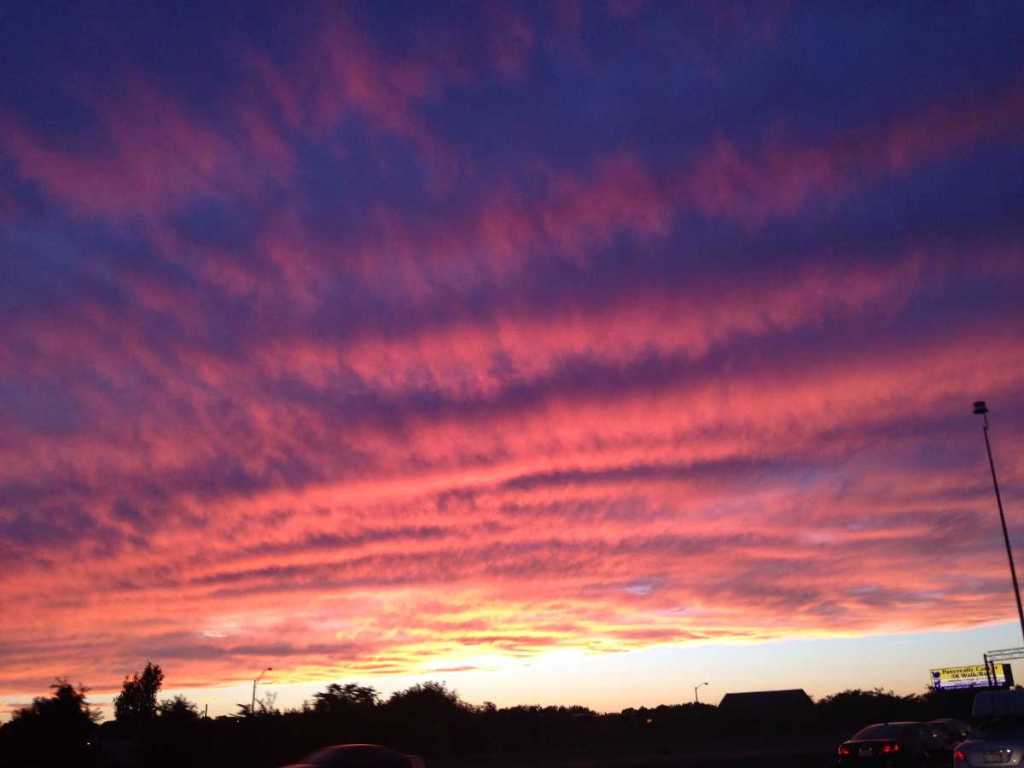 22+ Can You Visit Boston Without A&nbsp;Car