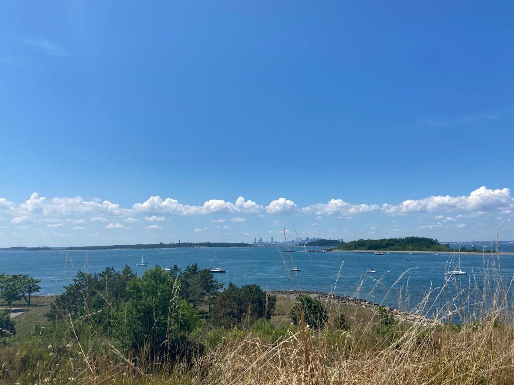 Exploring Boston Harbor Cruises Naturalist Notes