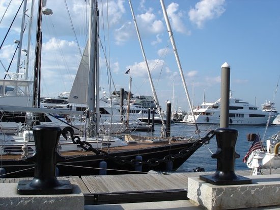 26+ Boston Harbor Cruises Dog Friendly Packages