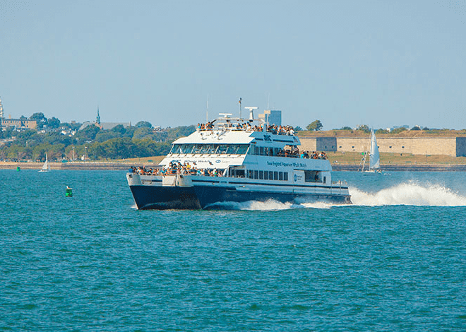Best Boston Harbor Cruises Owner&nbsp;Package