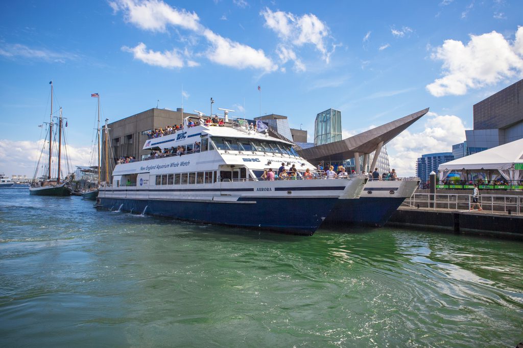 Amazing Boston Island Boat Tours&nbsp;Packages